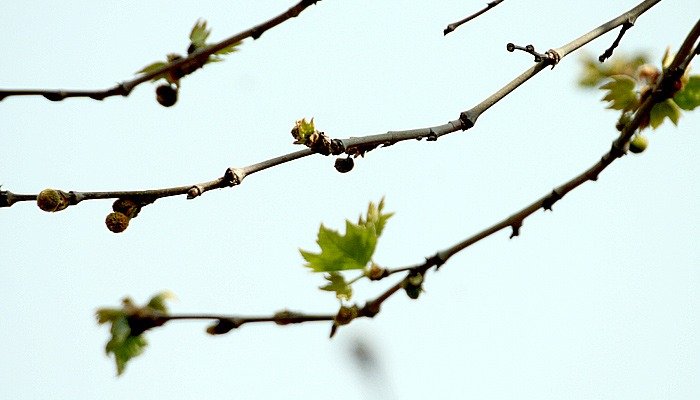 Punjab Weather Update: PMD Predicts Dry Weather in THESE Areas! Punjab Weather Update: PMD Predicts Dry Weather in THESE Areas!