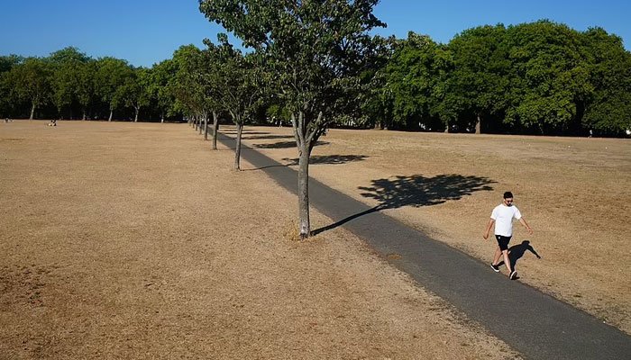 Seven UK Regions Declared Drought Zones After Record Heat and Low Rainfall Seven UK Regions Declared Drought Zones After Record Heat and Low Rainfall
