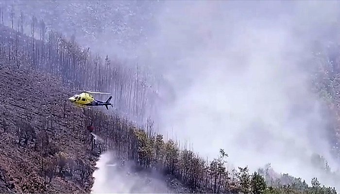 Europe Unites to Protect Lives as Heatwave and Wildfires Test Community Resilience Europe Unites to Protect Lives as Heatwave and Wildfires Test Community Resilience