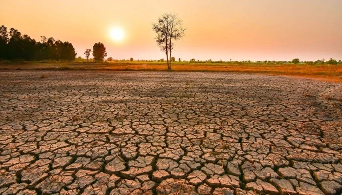 El Niño Threat Intensifies, Raising Risk of Extreme Heat, Floods and Drought Worldwide El Niño Threat Intensifies, Raising Risk of Extreme Heat, Floods and Drought Worldwide