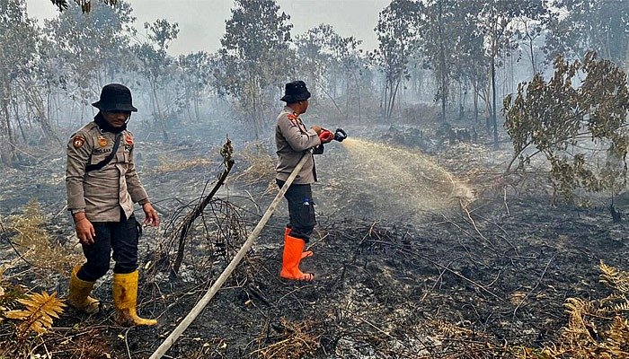 Indonesia Wildfires Spread Toxic Haze Across Southeast Asia Indonesia Wildfires Spread Toxic Haze Across Southeast Asia